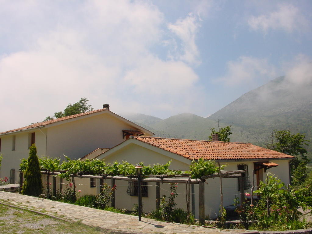 Agriturismo Collevento 特雷基纳 外观 照片
