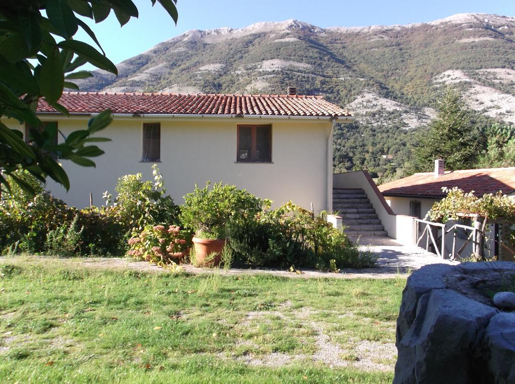 Agriturismo Collevento 特雷基纳 外观 照片