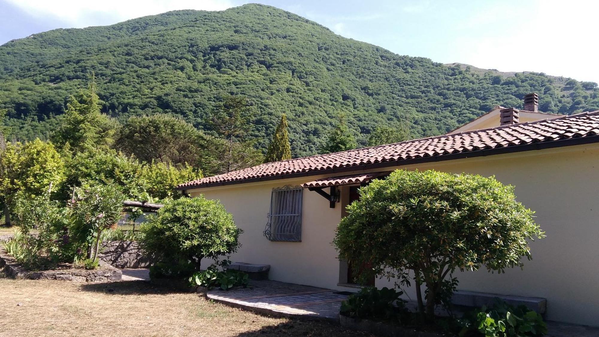 Agriturismo Collevento 特雷基纳 外观 照片