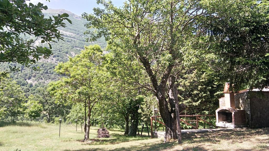Agriturismo Collevento 特雷基纳 外观 照片