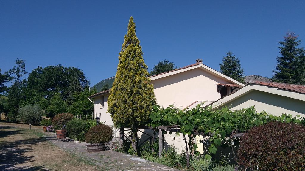 Agriturismo Collevento 特雷基纳 外观 照片