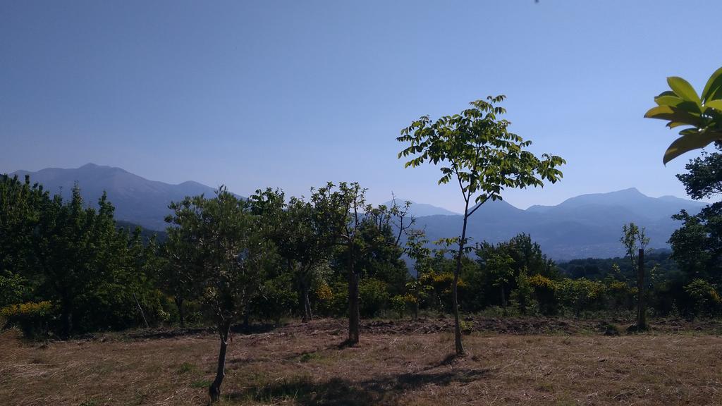 Agriturismo Collevento 特雷基纳 外观 照片